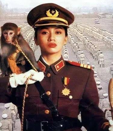 也与戴笠,官翼贤等特务头子,合作紧密.