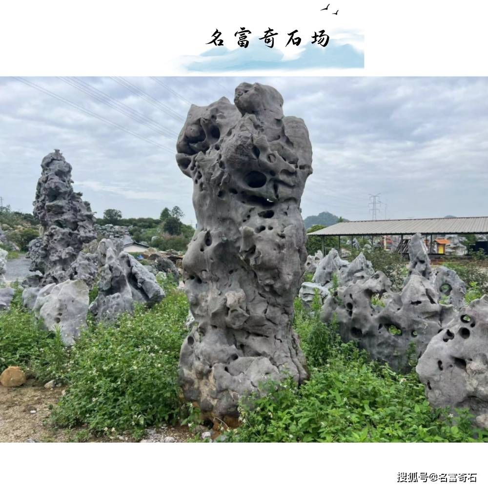 江西黑太湖石鱼池围边,太湖石景观石产地在哪里?黑山石批发价格