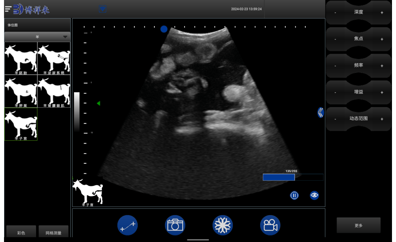羊用b超机在羊场的应用