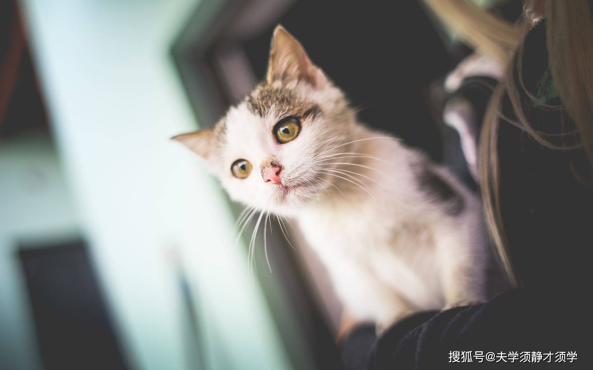 开心一刻:闺蜜说道:这是要我同事负担一辈子的节奏!