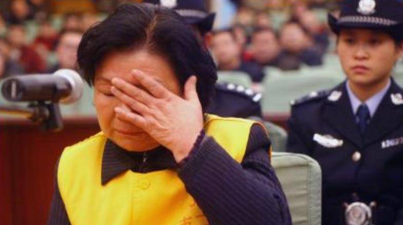 "乳业女皇"——原三鹿董事长田文华的沉浮录