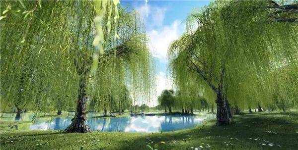 俗语说:人穷不砍三种树,后代子孙得佑护,哪3种树?有什么道理