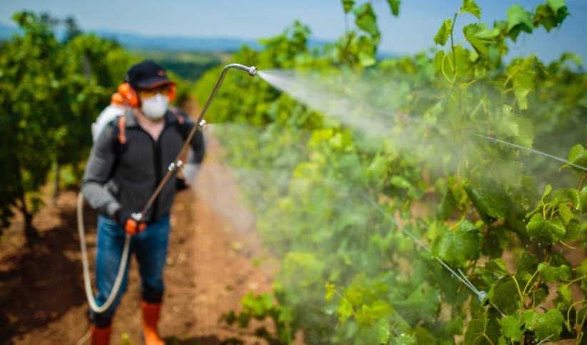 监督抽检农残超标"新星"——噻虫胺知多少