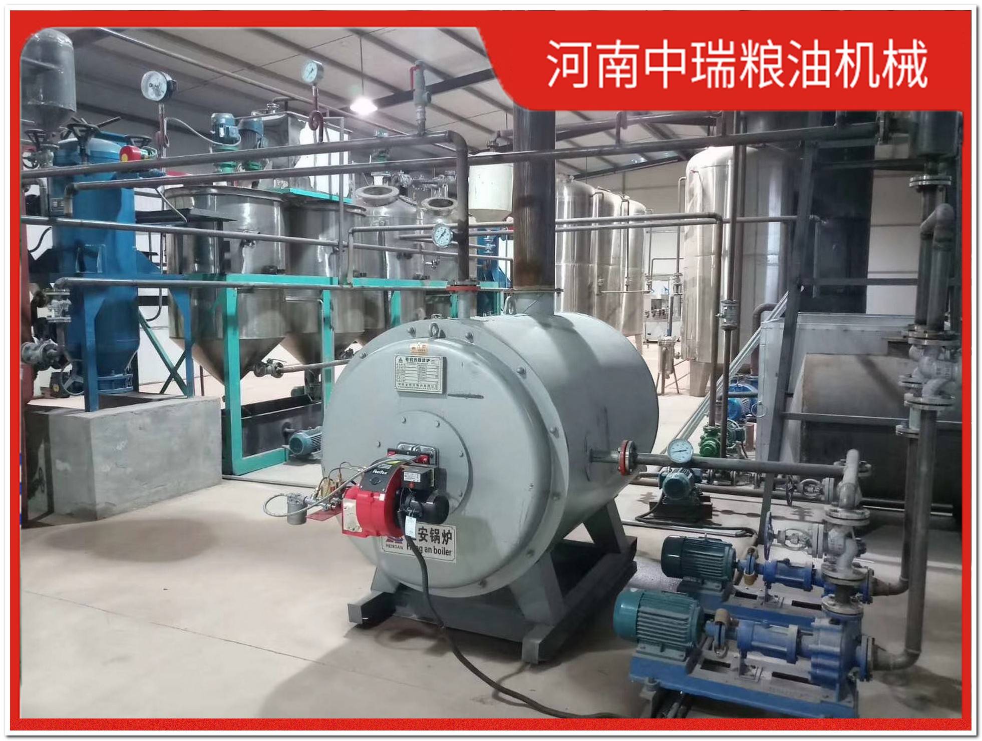 中型100吨动物油油脂提炼设备成套生产线设备价格多少钱一套?