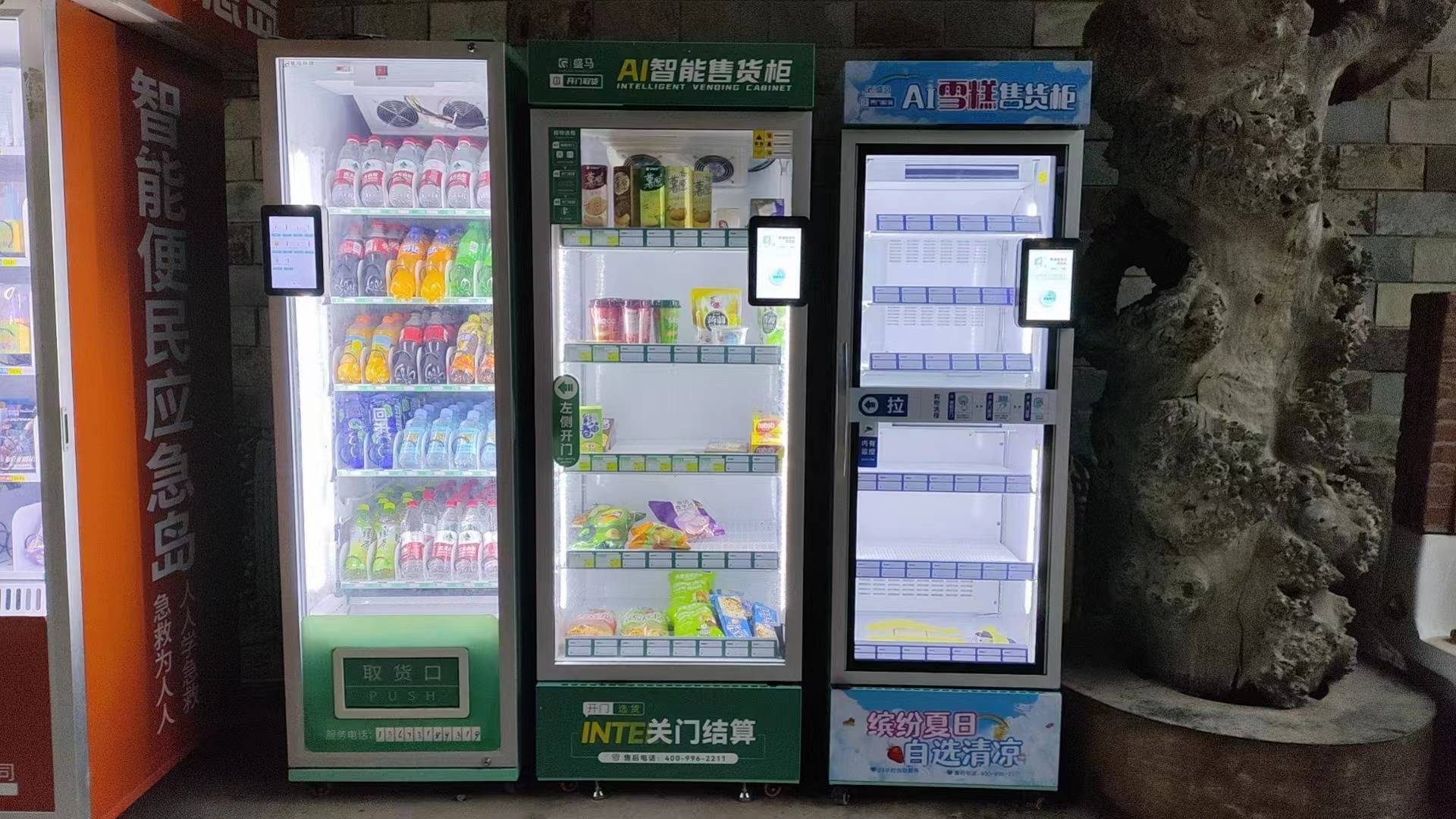 夏季低成本创业项目——雪糕售货柜