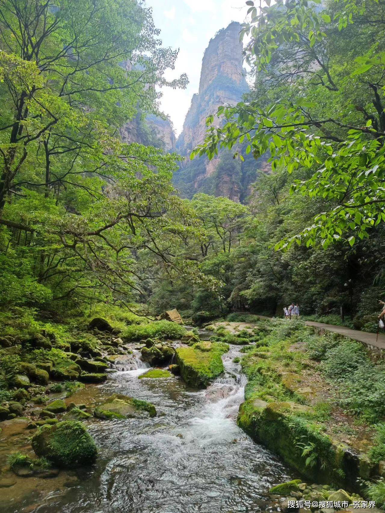 张家界三天自由行怎么安排合适,具体的线路安排有哪些 景区注意事项