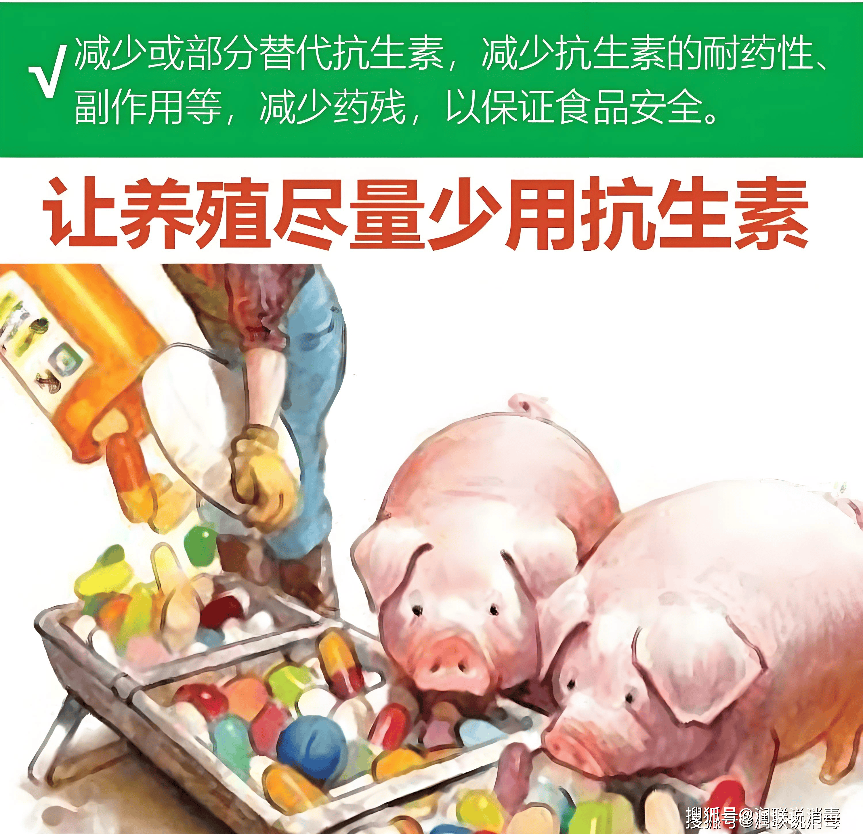 代替饲用抗生素用于养殖场杀菌 减少耐药性,副作用
