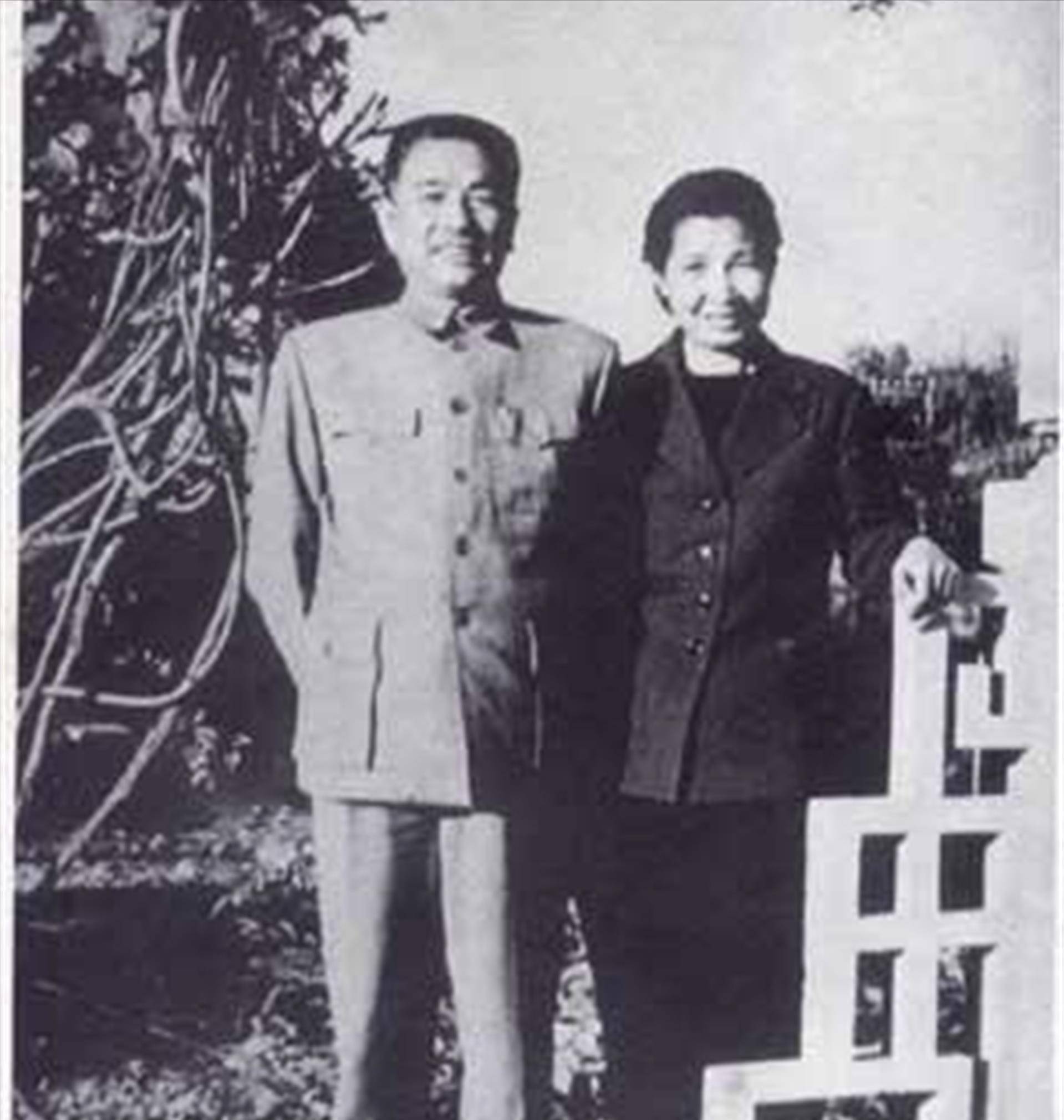 1952年,井冈山一农民找到曾志:妈,我是您失散23年的儿子