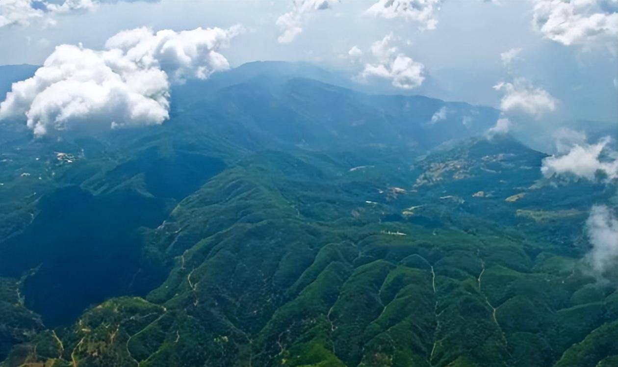 1988年60岁的杨善洲退休,拒绝组织安排:我要回家乡去种树