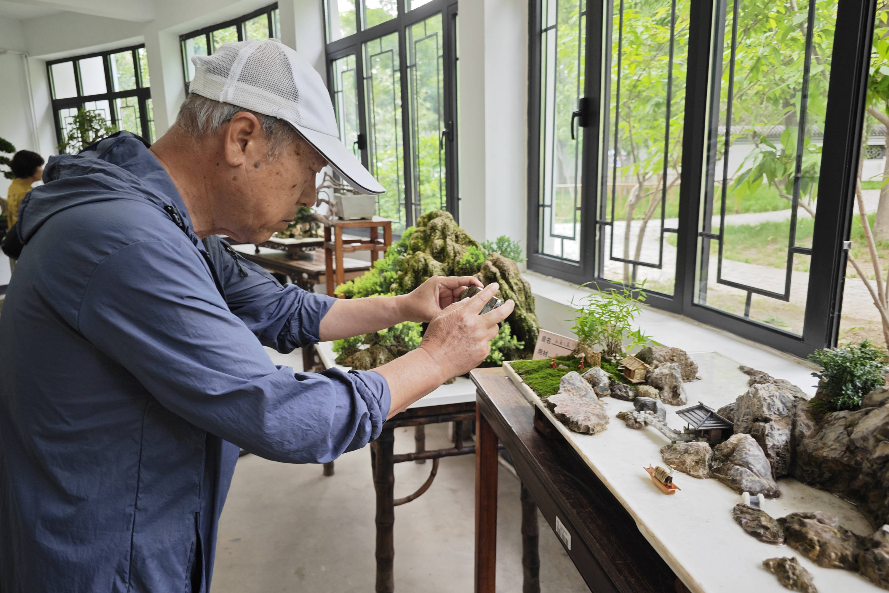 天津市花卉盆景协会《天津市盆景艺术精品展》在水上公园盆景园揭幕