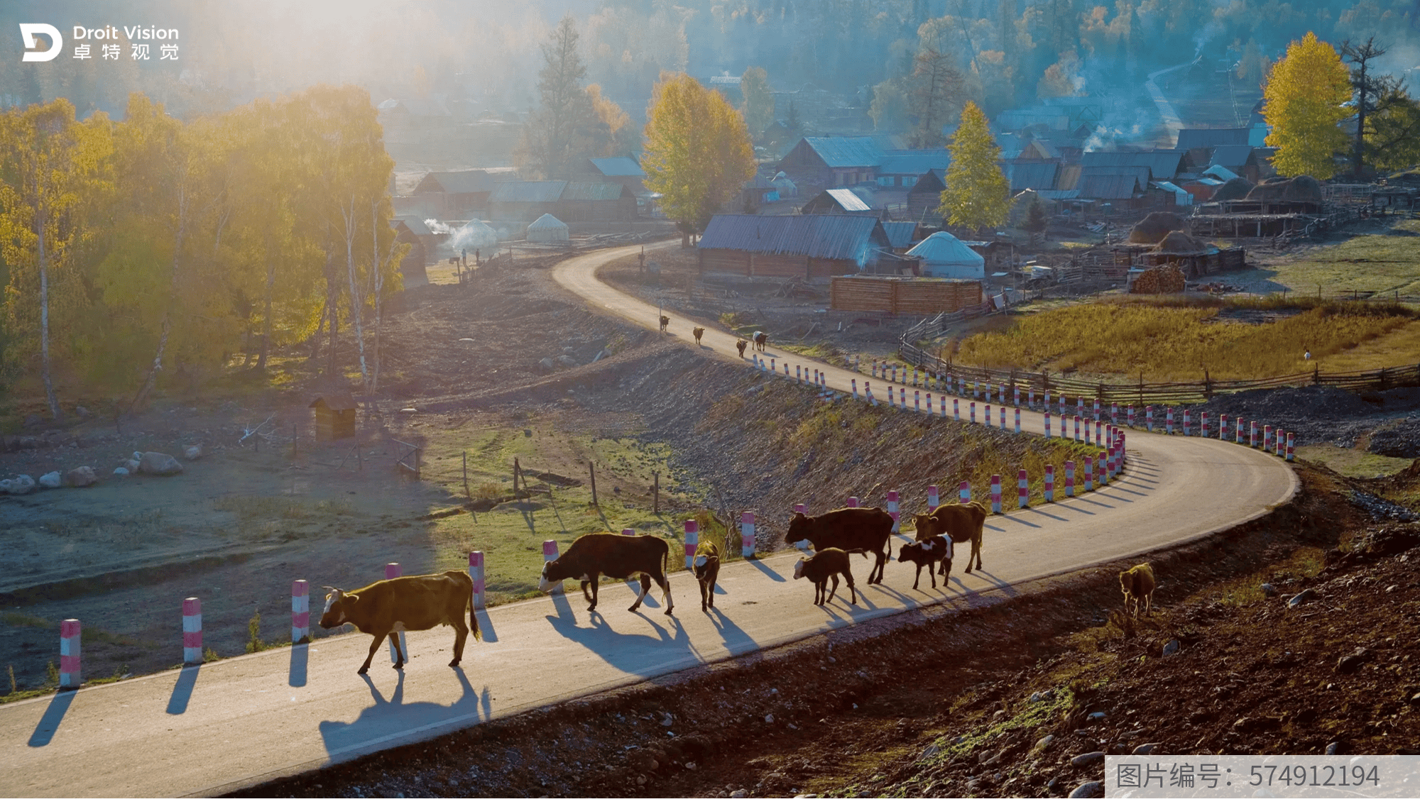 乡村景色戈延图片