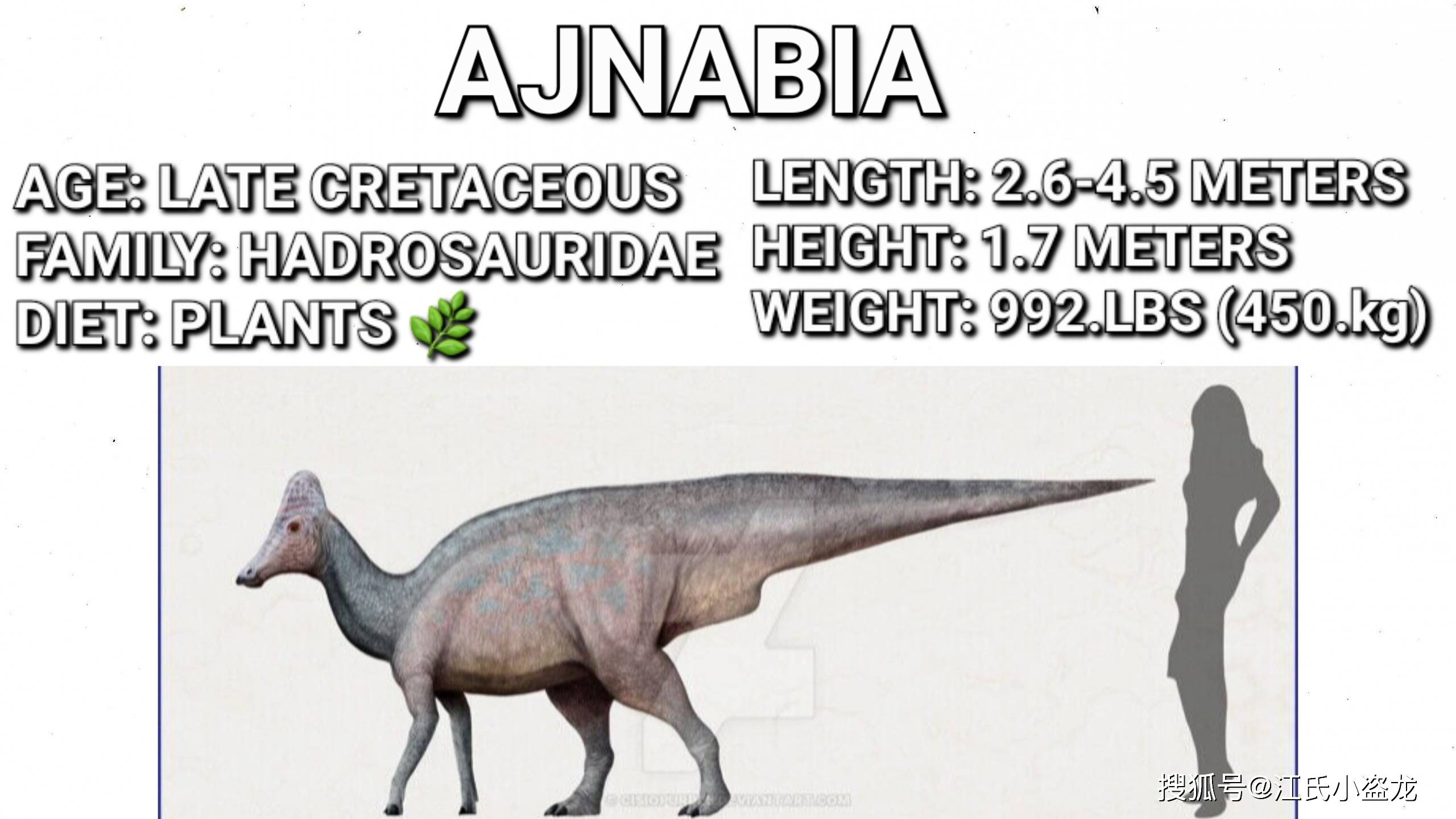 【恐龙王国】最新化石展示鸭嘴龙在非洲的殖民!