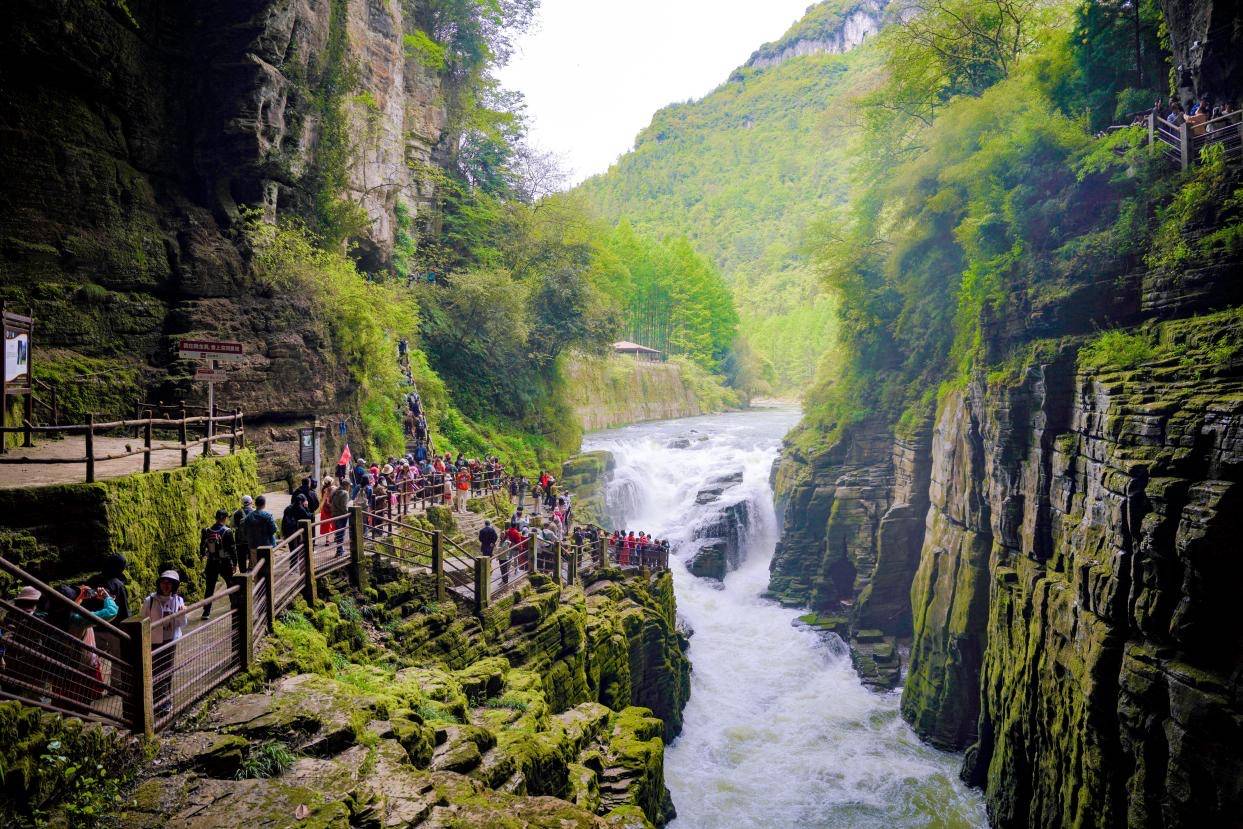 凉爽之城向川渝游客发出邀请,跟着音乐走进利川!