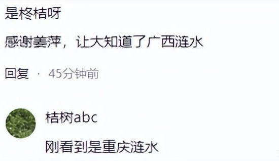 天才少女姜萍带来泼天流量，当地文旅躺赢，自称中国涟水！-姜萍画价格