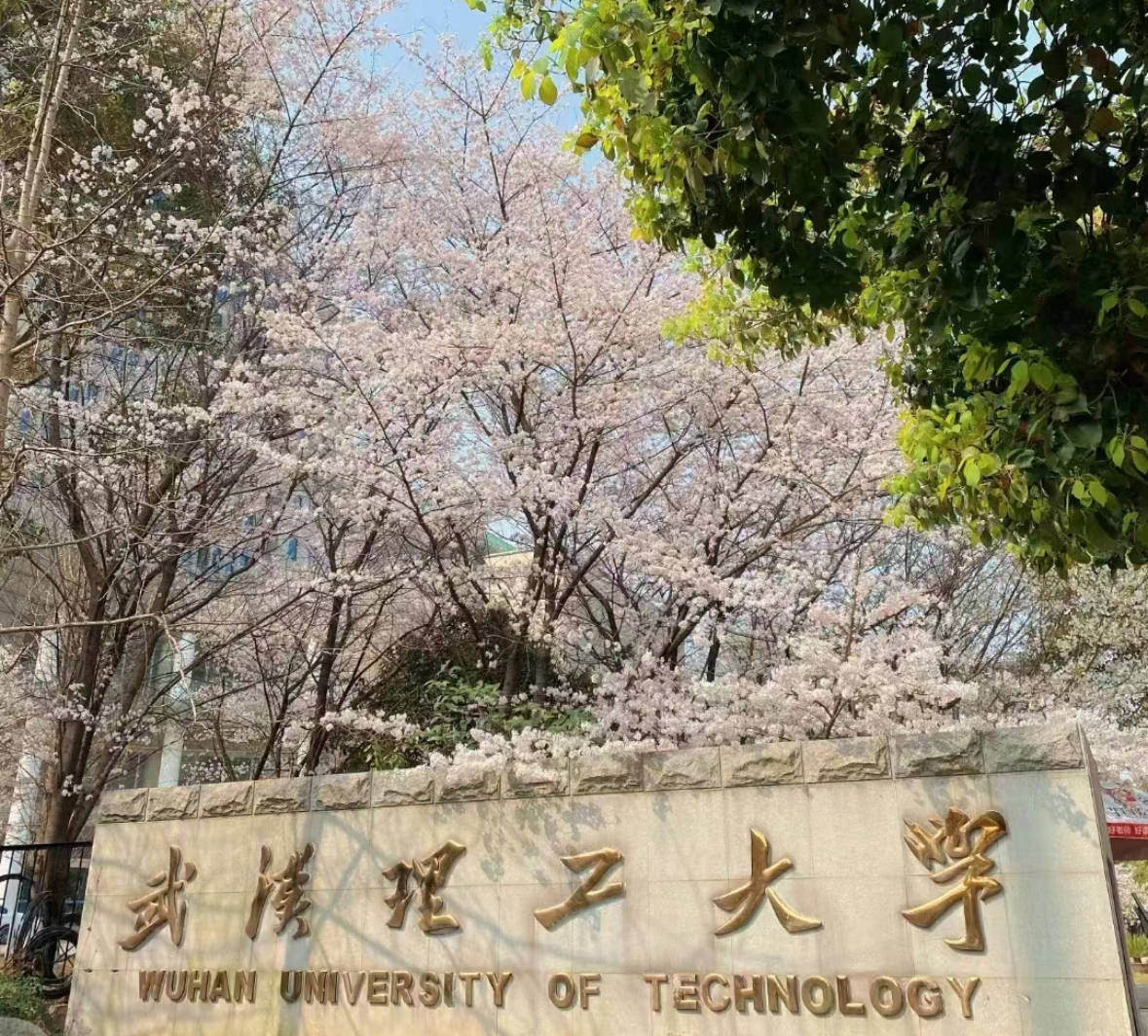 武汉理工大学国际本科4 0招生简章