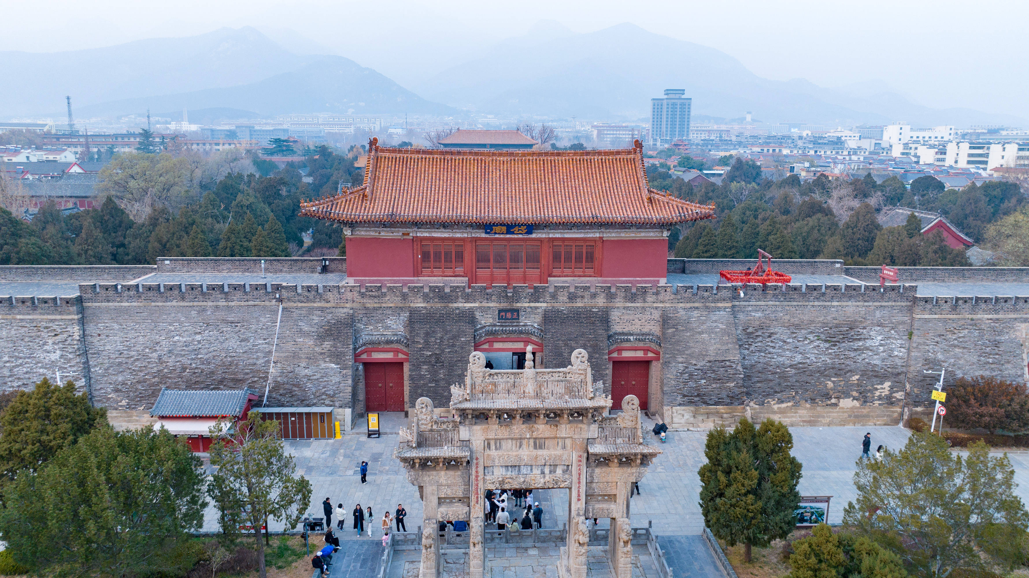 泰山最高贵的树,汉武帝亲手所种,乾隆为它题诗作图,就在岱庙