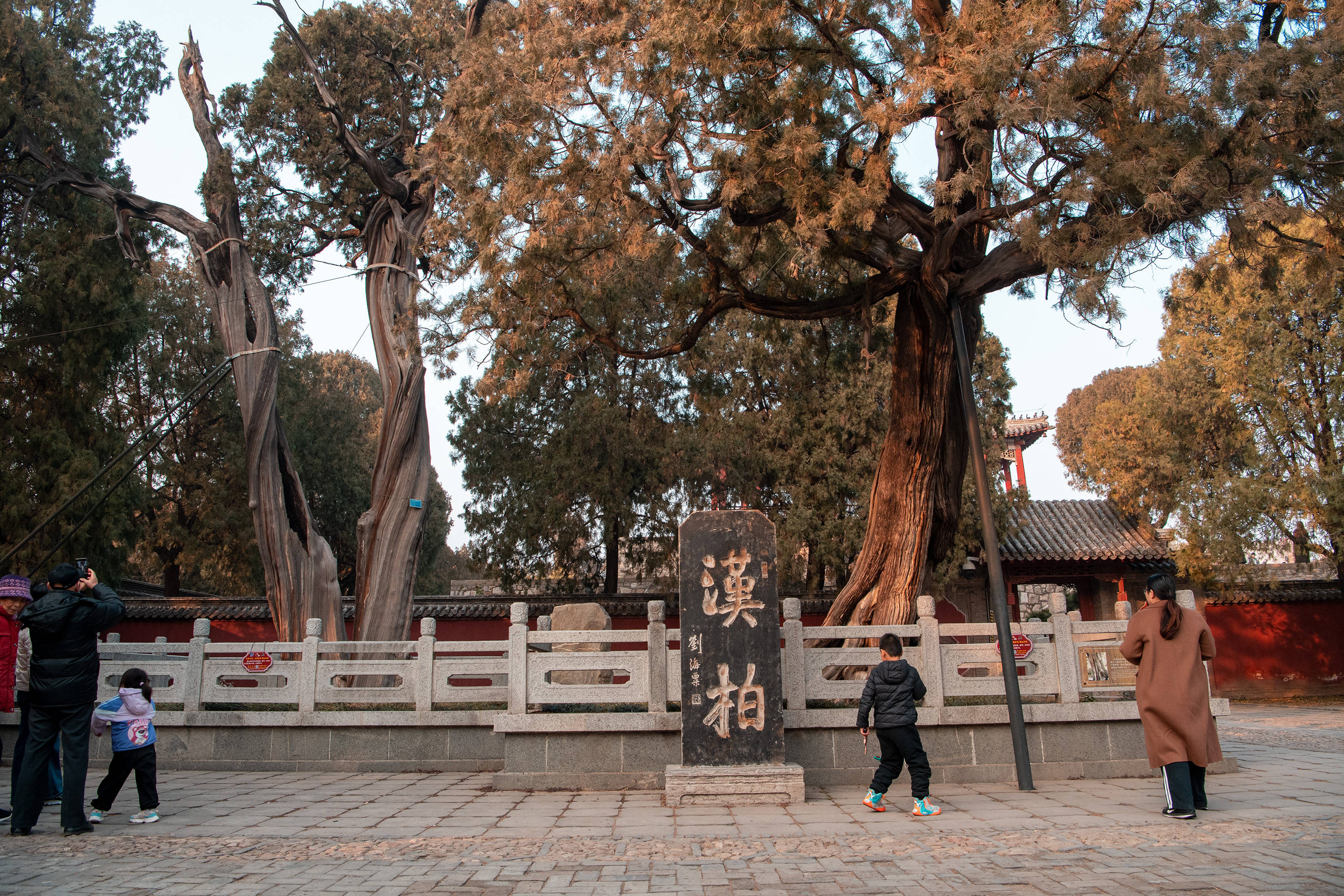 泰山特色景观图片