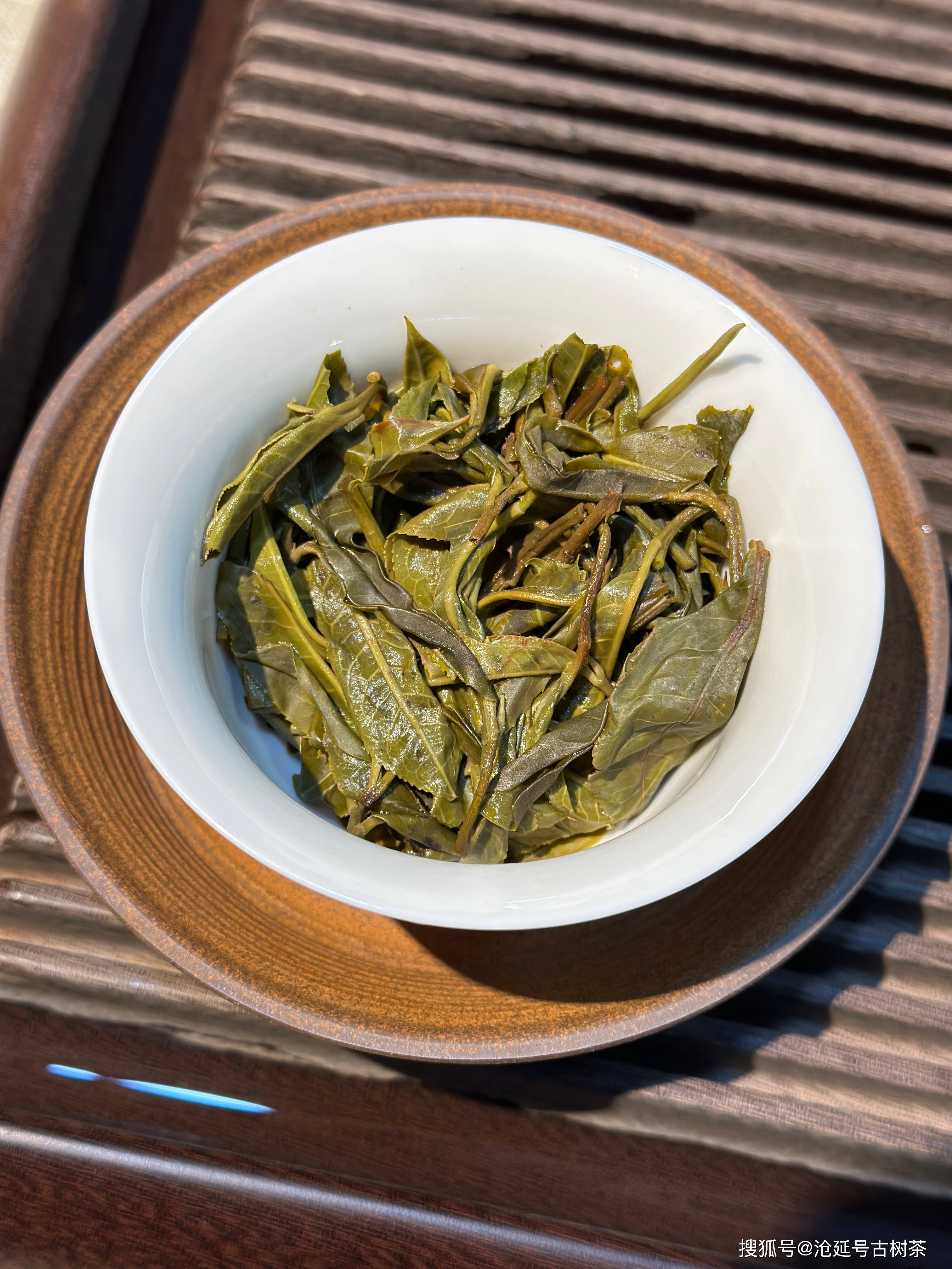 沧延号2024临沧梅子箐单株纯料生茶