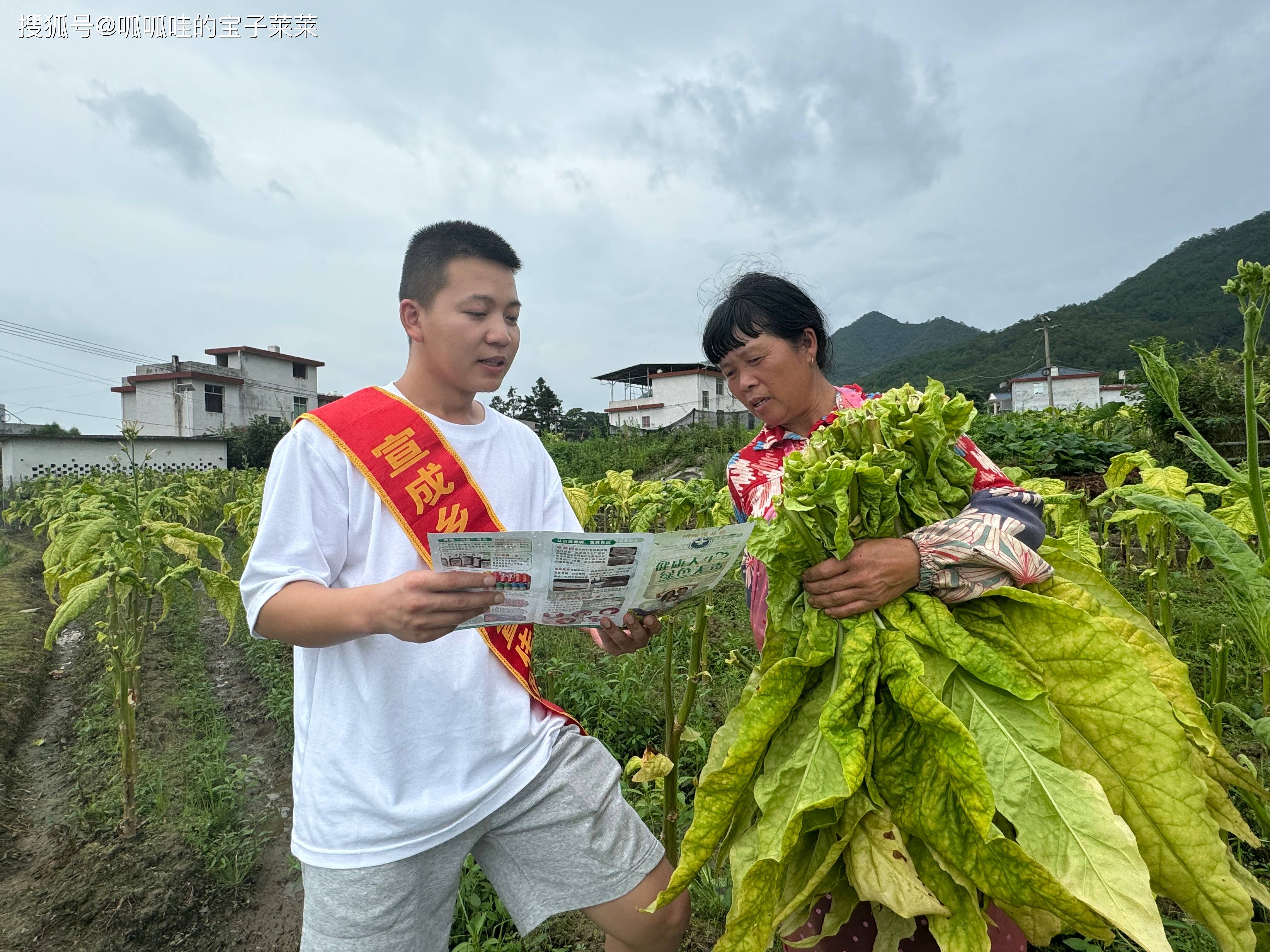 同时鼓励广大群众积极检举,揭发非法种植毒品原植物和吸