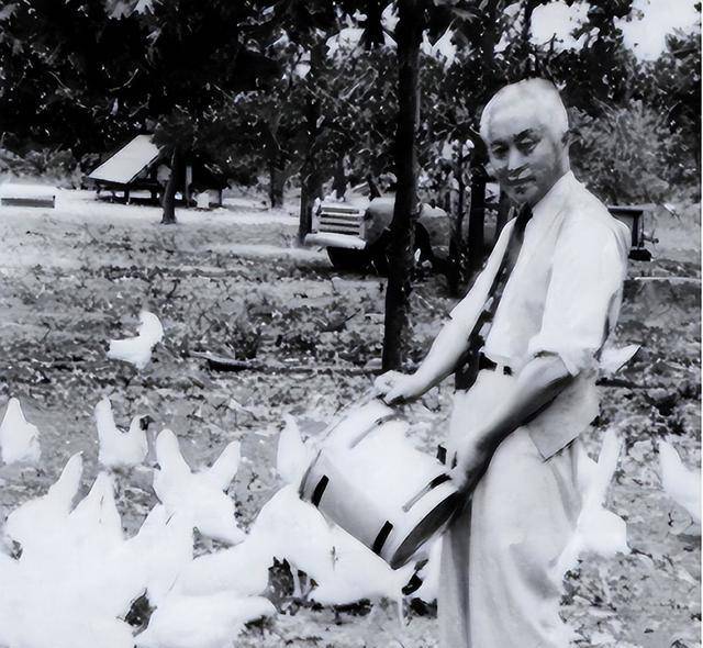 陈立夫在美国煤矿做工与人打架,悟出一个道理:对外国人不能示弱