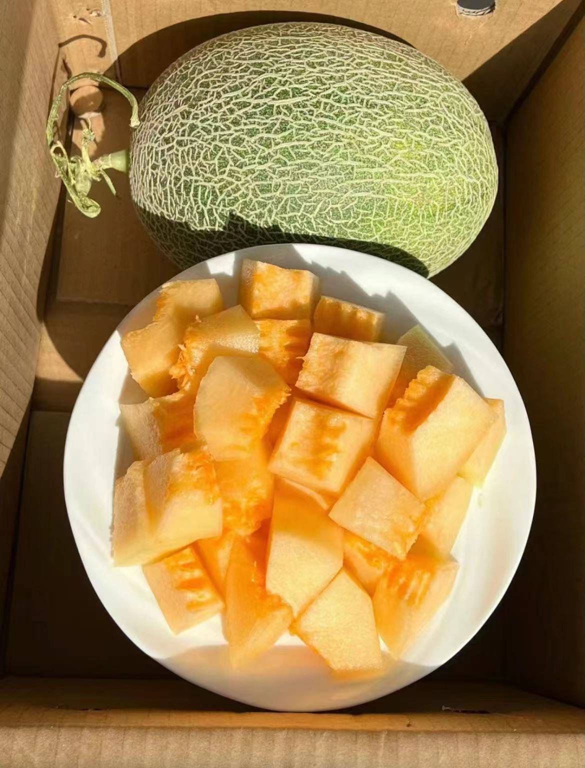 速冻哈密瓜产品知识整理