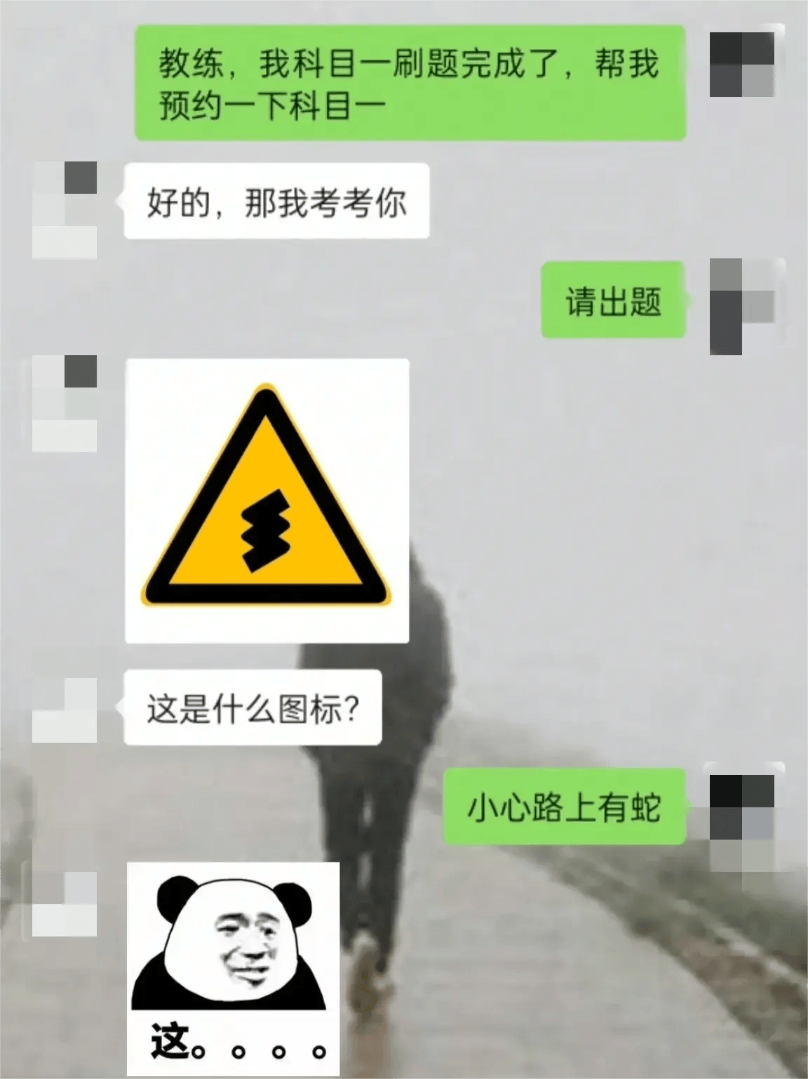 老王与蛇海龟汤图片