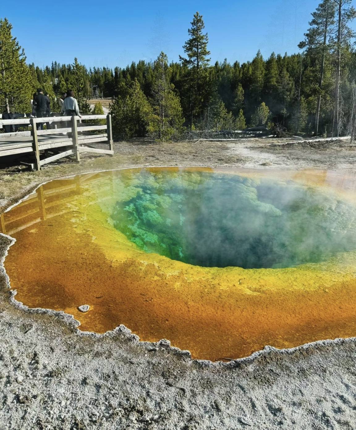 关于美国黄石公园的10个冷知识,如公园成立于1872年,是世界上第一个