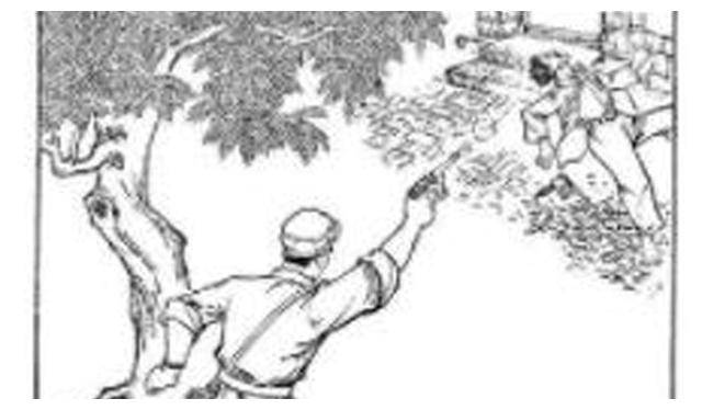 故事:在抗日战争时期,我军民抗击日伪的经典战例——夜袭平乡城