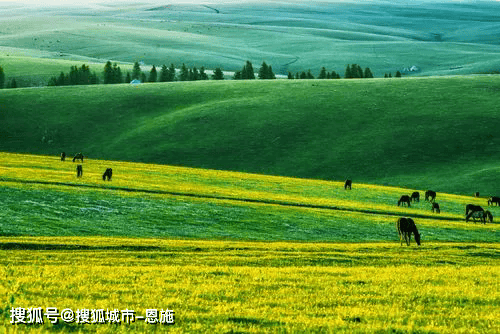 第六天:乌鲁木齐