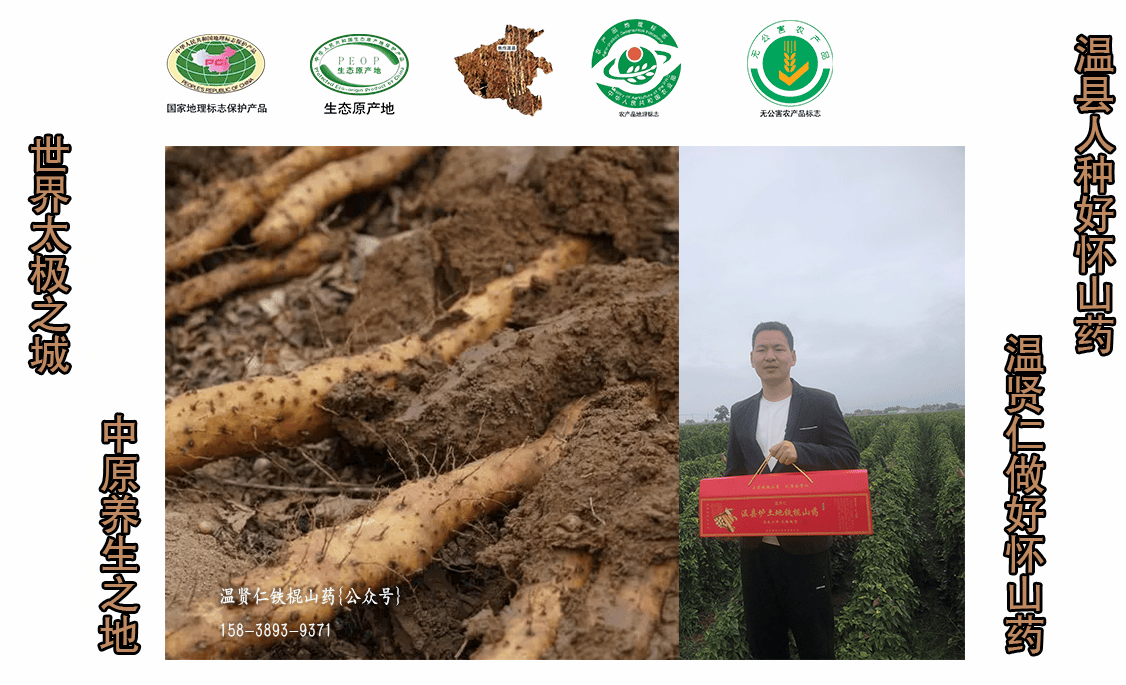 温县垆土铁棍山药:自然的馈赠,健康生活的同行者,道地养生产地直发