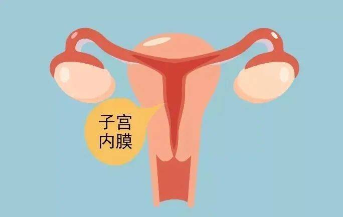 女性正常的子宫内膜厚度多少(子宫内膜增厚是什么原因和危害有哪些)