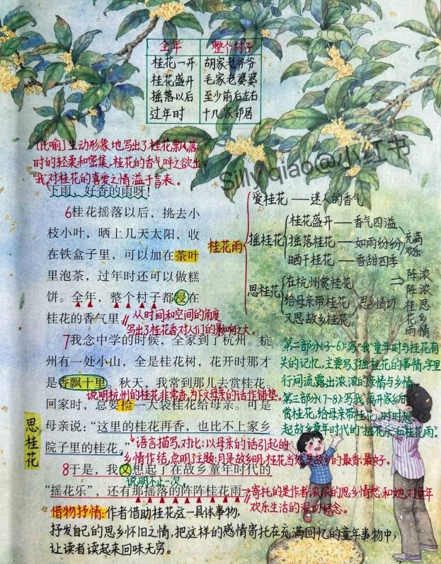 2024部编版五年级上册语文第3课《桂花雨》课堂笔记 知识点总结 图文