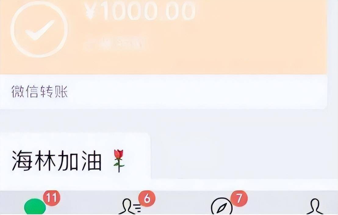 15年河南女孩发朋友圈借钱,300陌生人接连转账,一夜到账30万