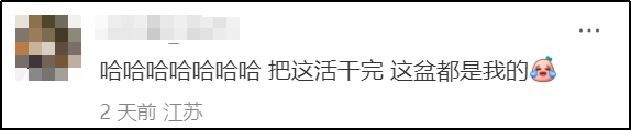 康师傅杨紫“超馋”微综，网友：被一碗泡面硬控住了！