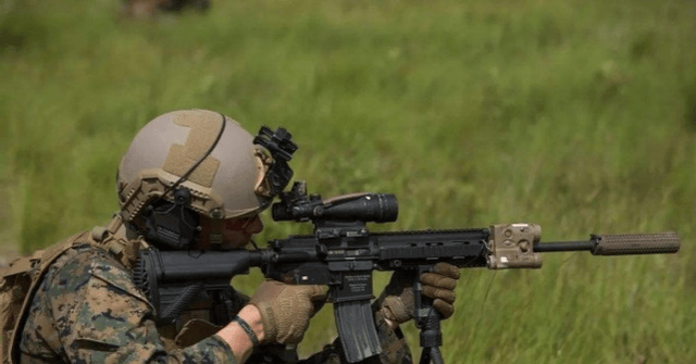 原创不光精度高 颜值也炫酷 这种精确射手步枪能否直接当作狙击步枪