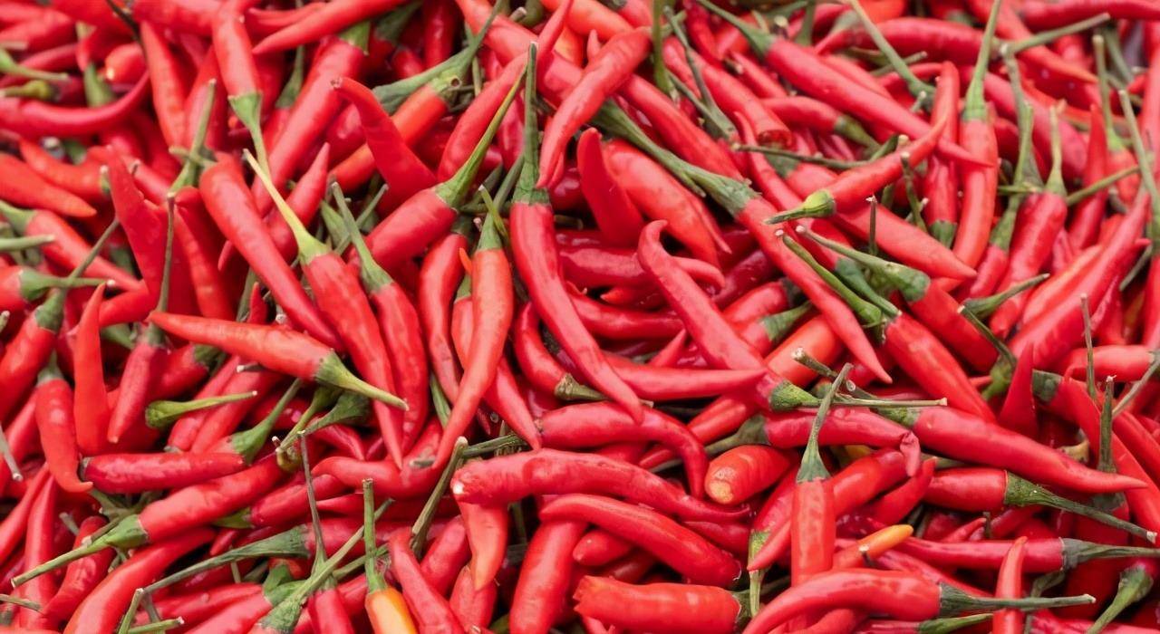 "辣王"李永志:辣椒大蒜配白酒,一口气吃32个魔鬼椒,今如何?