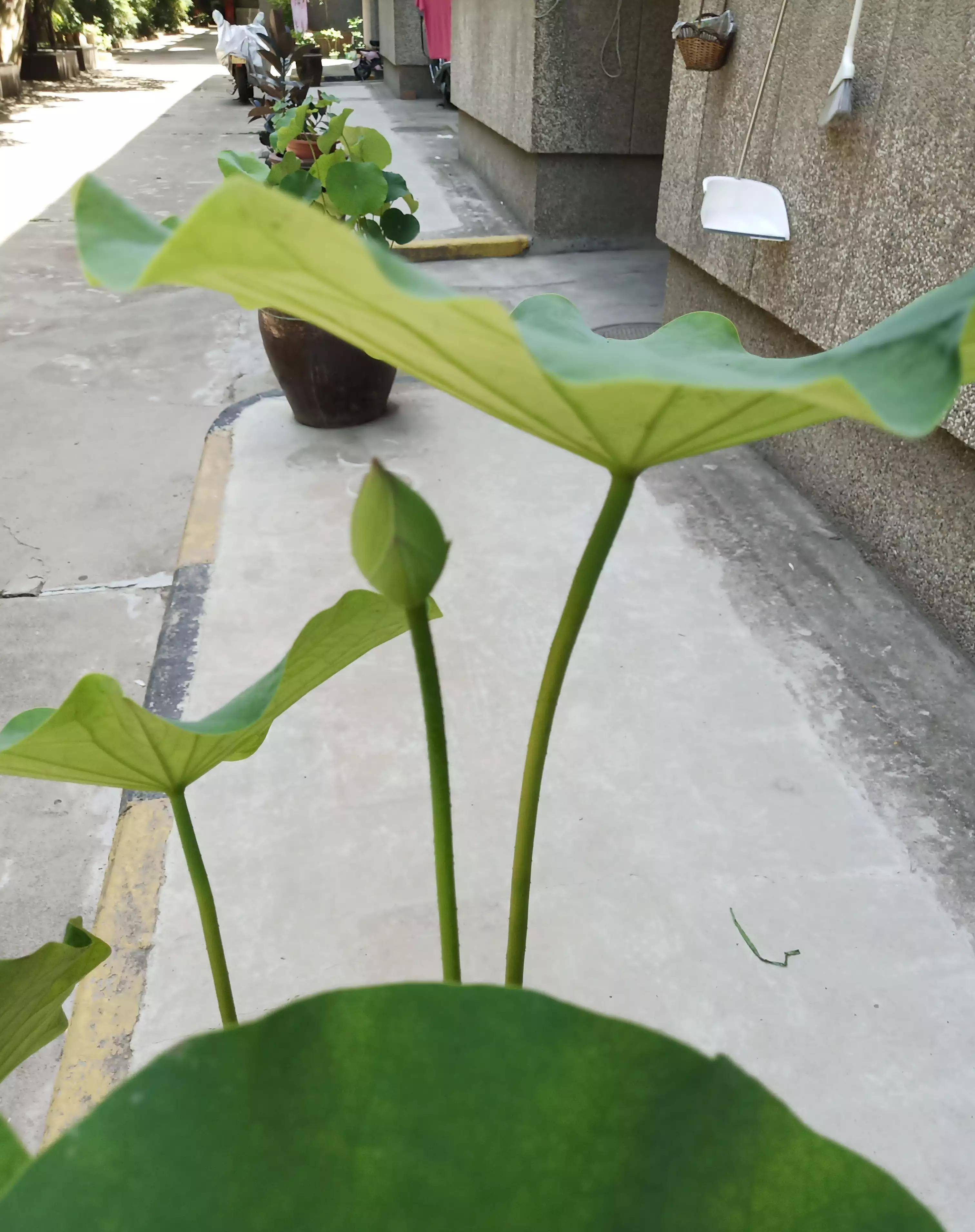 战国风云人物,战国四公子之魏国信陵君