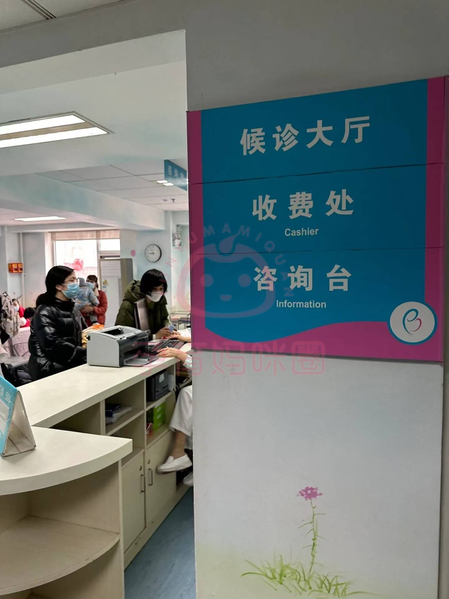 北京市海淀妇幼保健院"黄牛挂号费用",的简单介绍