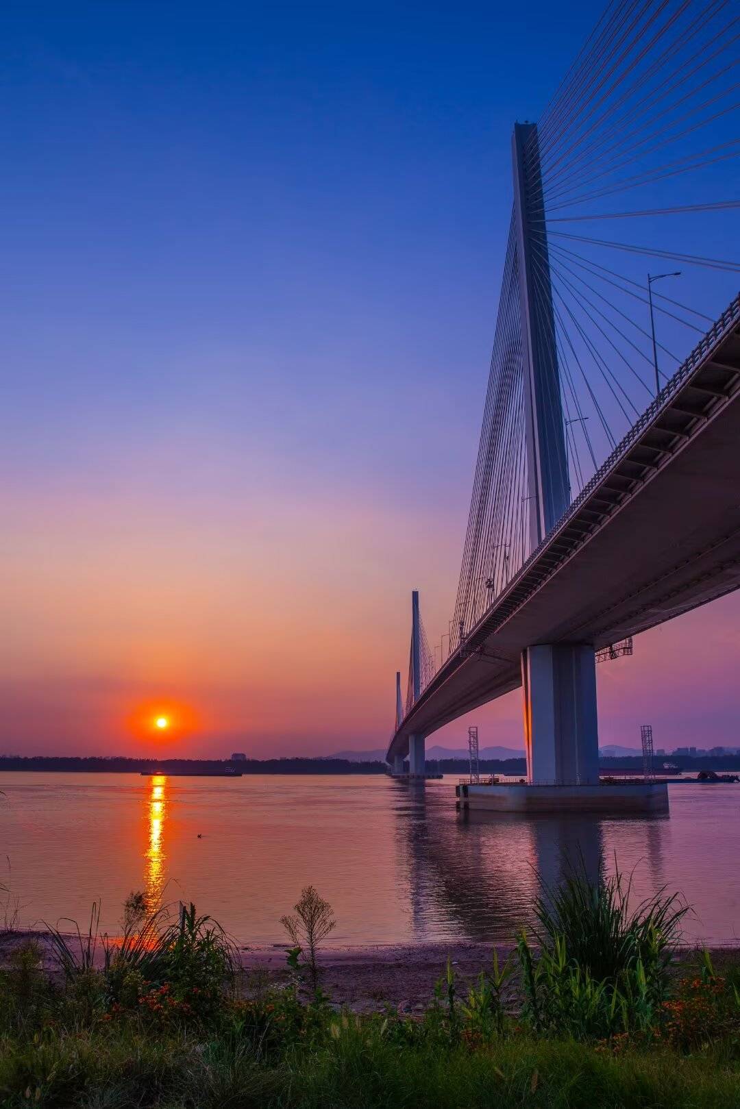 【每日一景】夕阳下南京长江五桥,壮美震撼