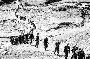 儿子上山劝降,恶匪姚大榜:逆子!虎毒不食子,今天我就吃了你