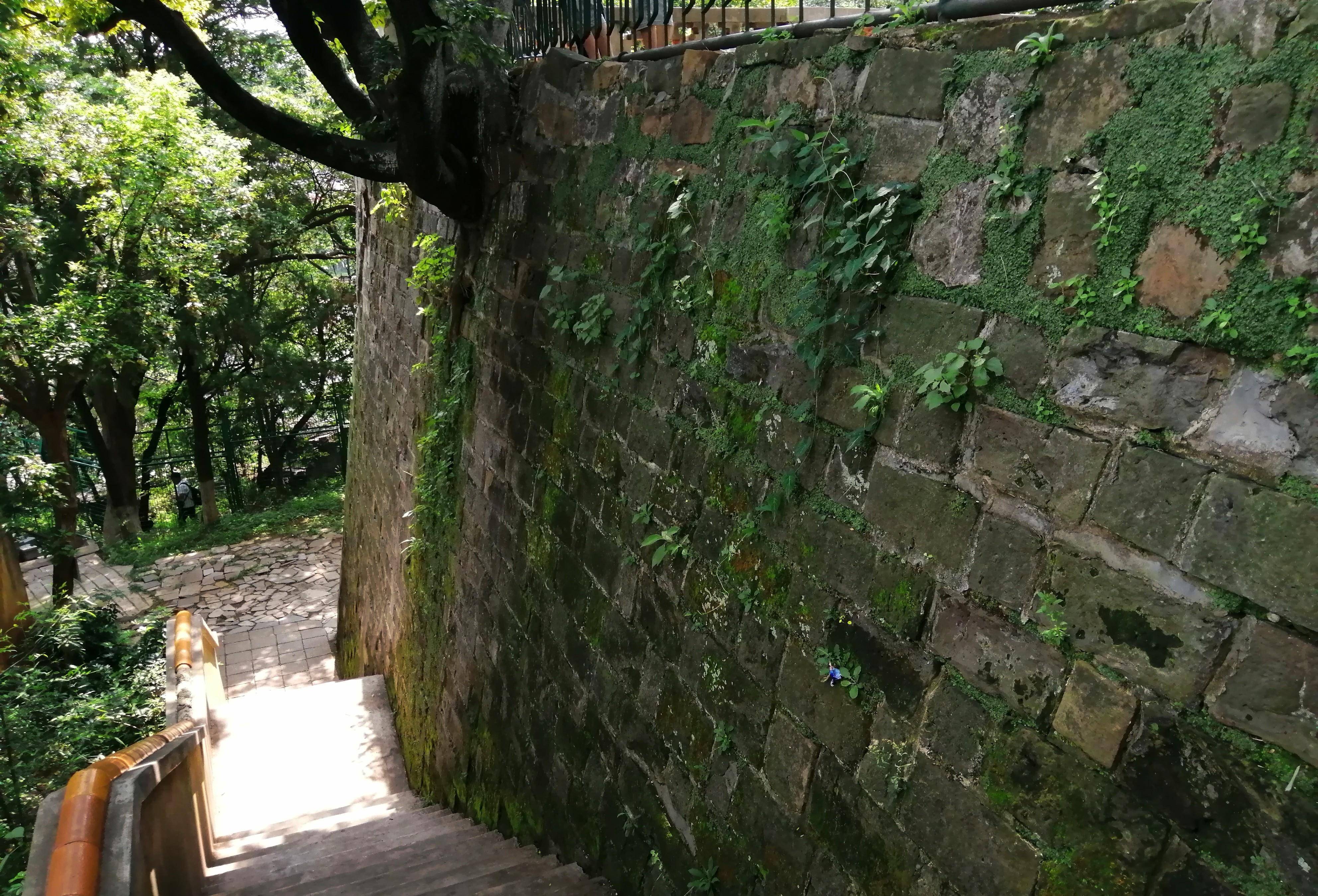 城墙北面从动物园大道叉向古城墙头的小路平平的城墙头铺着砖块,形成