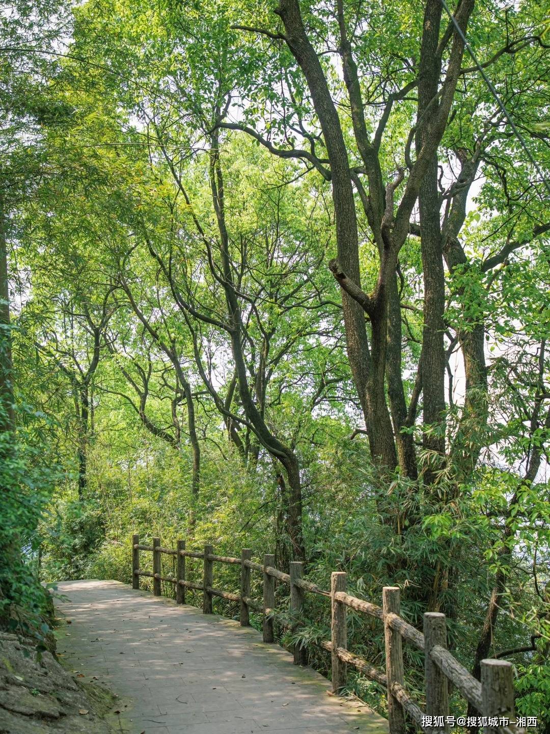 重庆旅游周边二日游,纯玩无购物,驴友分享