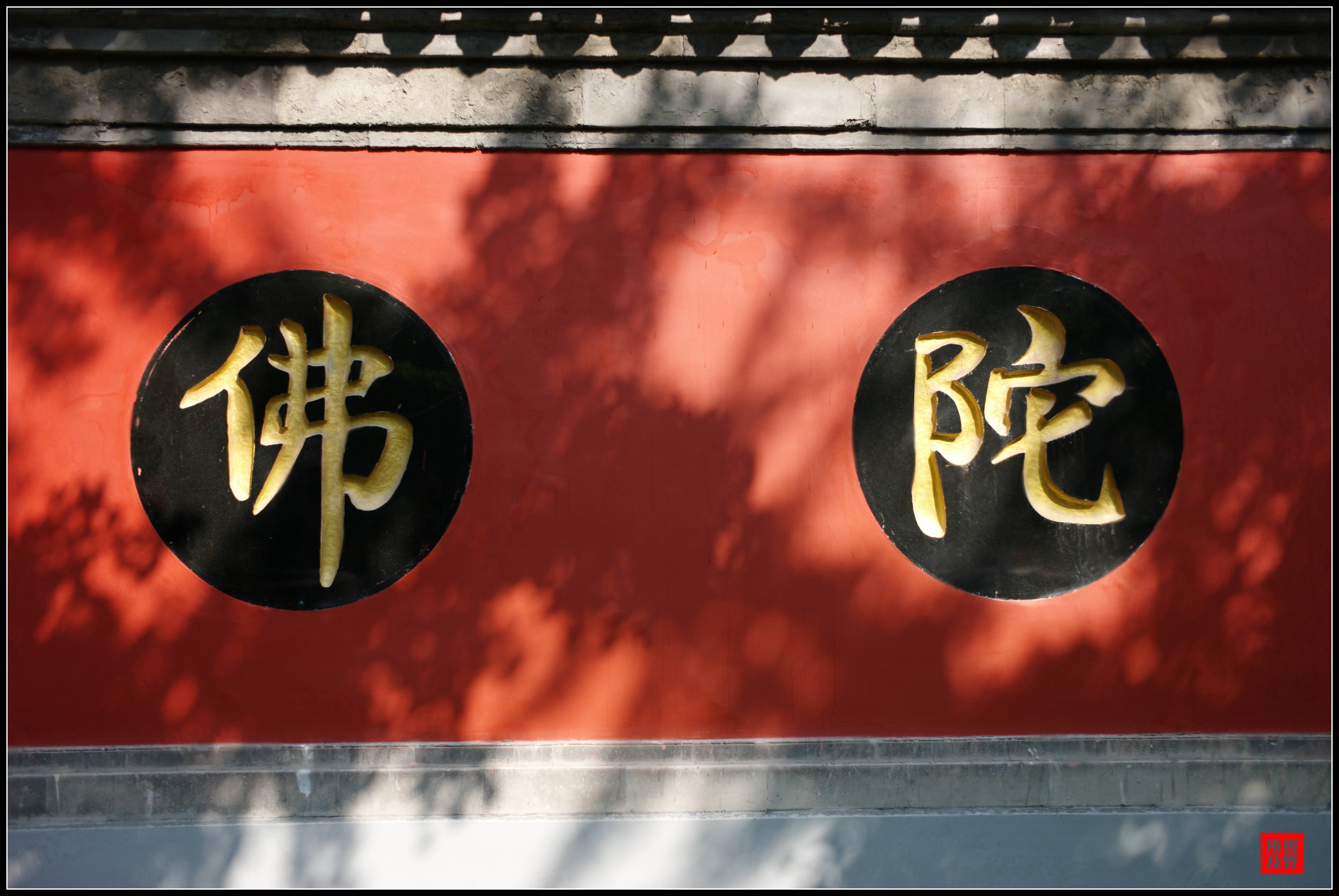 北京市佛教协会所在地(北京市佛教协会所在地址)