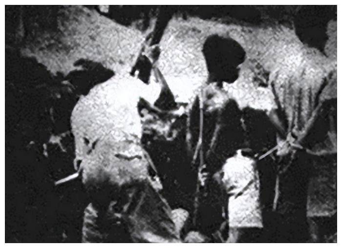 苏哈托_华人_苏加诺