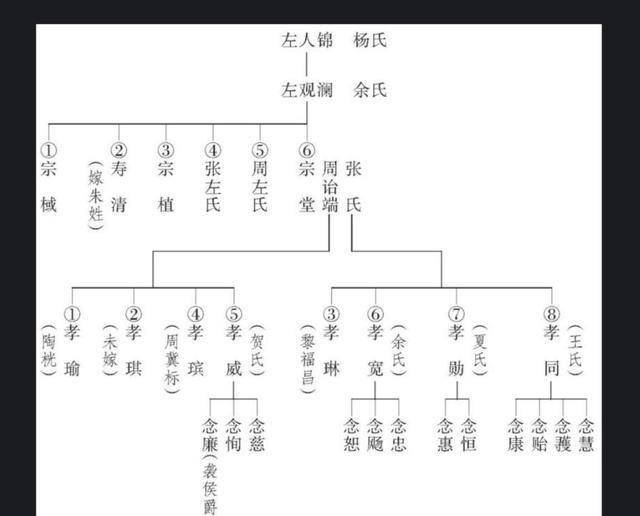 左宗棠现后人图片