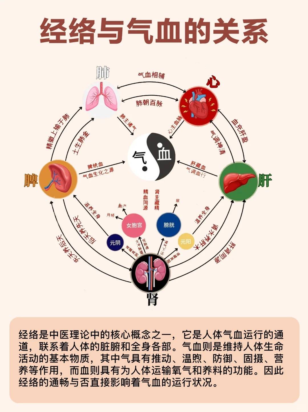 「上海徐浦中医医院」经络疏通的好处经络一通