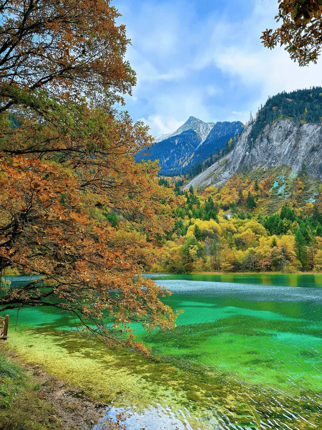 阿坝县有什么旅游景点图片