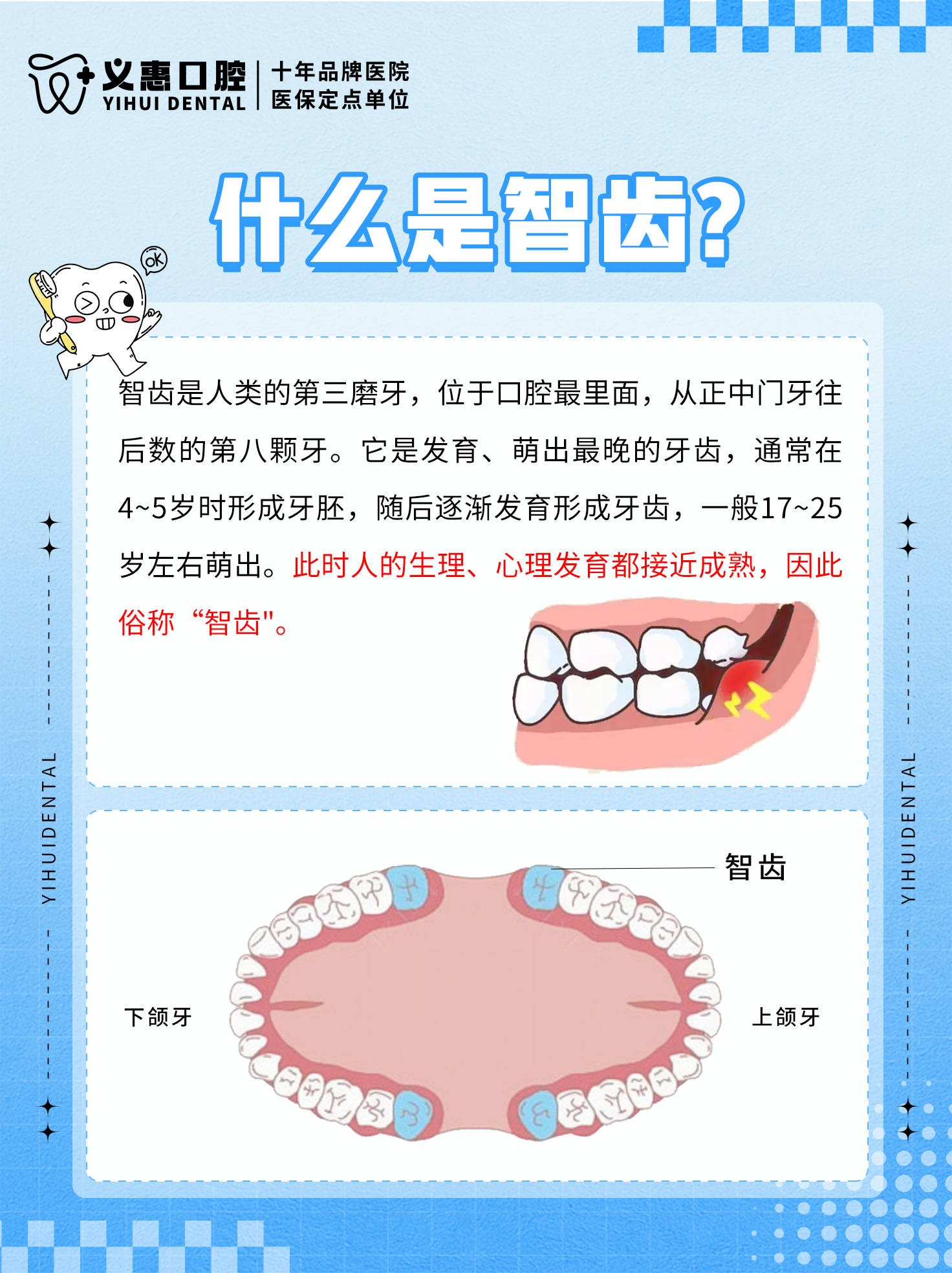 智齿分类图片