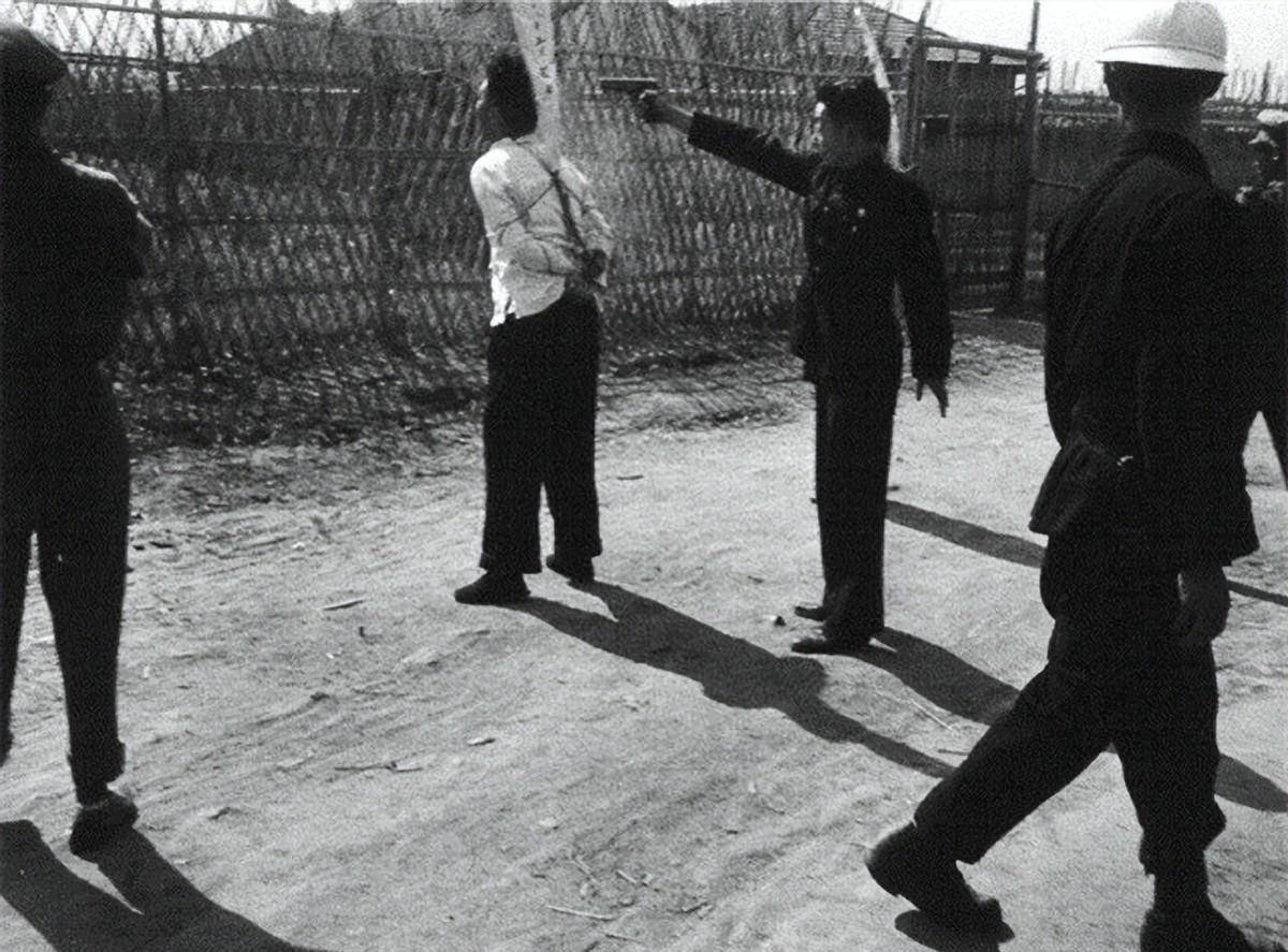 很快,法警的枪就响了,阿贵的身子往前一扑,又挣扎了几下,杨辉清楚地