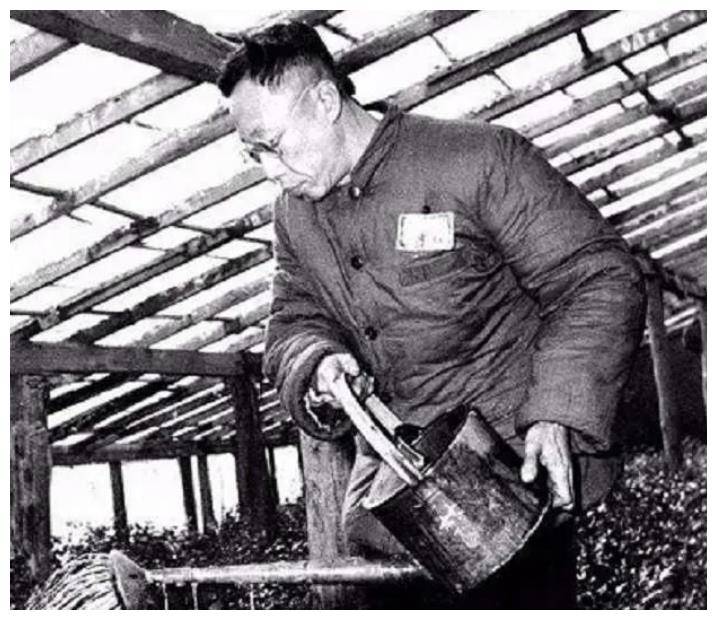 7)_爱新觉罗·溥仪_故宫_生活